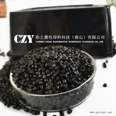 PP黑色餐盒用黑色母粒 餐盒用色母粒 色母粒生產(chǎn)廠家