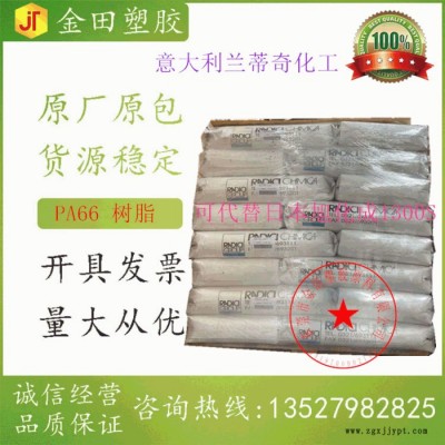 意大利 蘭蒂奇化工 A45-1 自潤(rùn)型通用注塑級(jí)pa66 熱穩(wěn)定 適于生產(chǎn)連接器 線圈骨架電子電器開關(guān)等注塑件