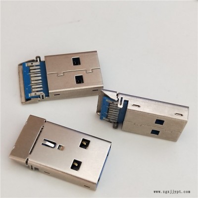 USB 3.1公頭 11PIN 直腳 180度貼板式 沉板式AM 藍(lán)膠LCP料 A公