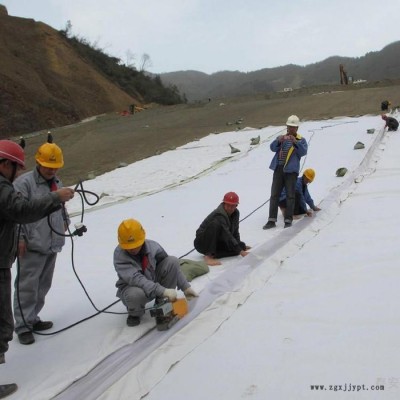 美標土工膜廠家 高密度聚乙烯土工膜 潤澤土工