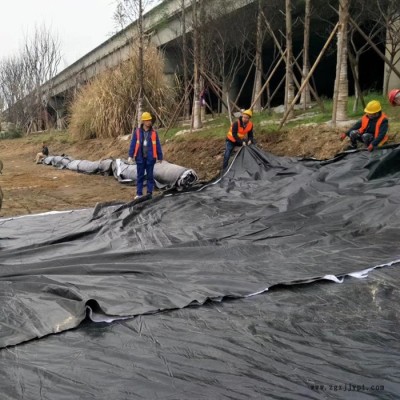 HDPE土工膜 污水處理土工膜 垃圾填埋場土工膜 德州廠家供應(yīng) 規(guī)格齊全