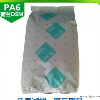 品牌經(jīng)銷  PA6/荷蘭DSM/K-FG12 加纖G