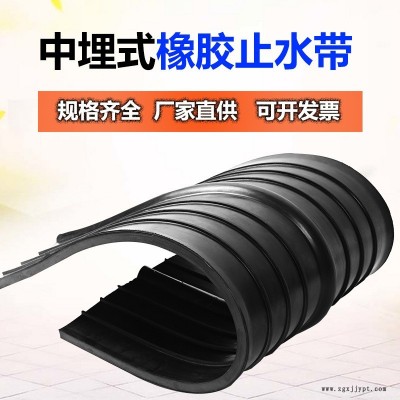 止水帶 橡膠止水帶廠家 中埋式橡膠止水帶 龍翔  型號齊全  可定制