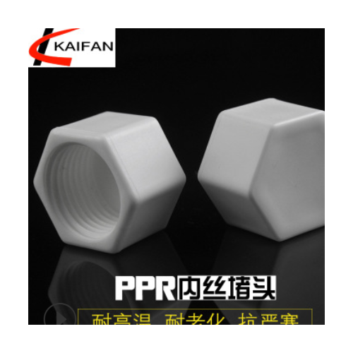 廠家批發(fā)銷售定做PPR內(nèi)牙堵頭PPR堵帽塞頭羅紋堵塞牙堵絲堵給水管