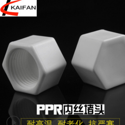 廠家批發(fā)銷售定做PPR內(nèi)牙堵頭PPR堵帽塞頭羅紋堵塞牙堵絲堵給水管