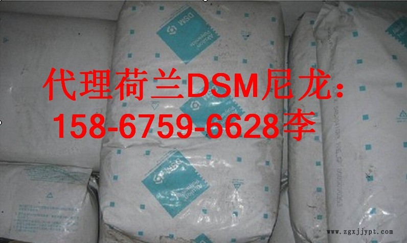 荷蘭DSM-5