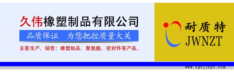 廠家直銷 骨架防塵系列密封 防塵密封圈 優(yōu)質(zhì)骨架防塵油封示例圖1