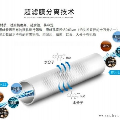 UF超濾膜  PVDF超濾膜，PVDF材質(zhì)膜絲  柱式超濾膜，替代2860