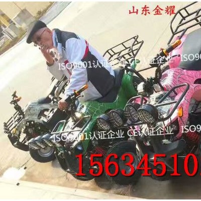 景區(qū)農(nóng)場(chǎng)游樂卡丁車 大型卡丁車 越野卡丁車 動(dòng)力強(qiáng)悍越野輪胎