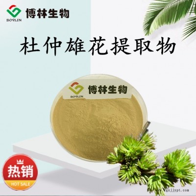 杜仲雄花提取物10:1 杜仲雄花粉 杜仲雄花萃取物 新資源食品原料