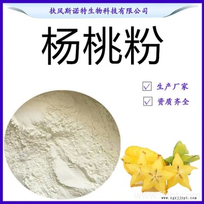 楊桃粉 98%楊桃粉 水溶性楊桃噴霧干燥粉 生產(chǎn)工廠資質(zhì)齊全