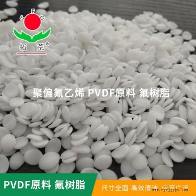 上海廠家直供pvdf原料