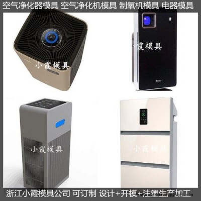 中國注塑模具制造凈化器注塑外殼注塑模具制造廠