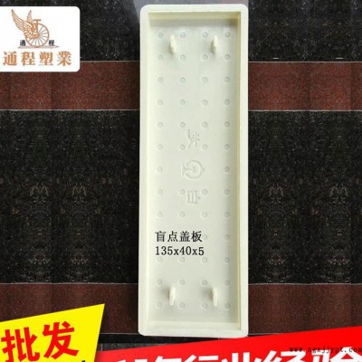 專業(yè)提供 鐵路蓋板塑料模具盲點(diǎn)蓋135x40x5 窨井蓋塑料模具