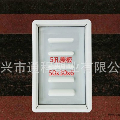 常年：5孔下水蓋板塑料模具 50x30x6