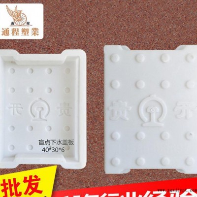 生產(chǎn) 盲點(diǎn)下水蓋板塑料模具40x30x6 鐵路蓋板塑料模具