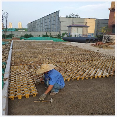 植草地坪 高承載植草地坪 植草地坪模具 植草地坪施工 中創(chuàng)華美