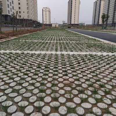 安徽現(xiàn)澆植草路面 高承載植草地坪 植草地坪模具 中創(chuàng)華美