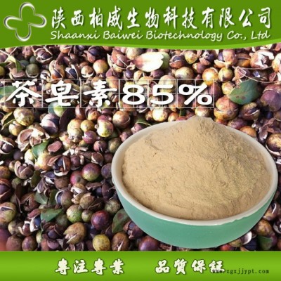 茶皂素 茶樹籽提取物 發(fā)泡劑 天然非離子表面活性劑 現(xiàn)貨批發(fā)價(jià)格 柏威生物 源頭工廠貨源 85%