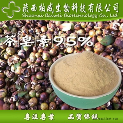 茶皂素 85% 茶樹籽提取物 發(fā)泡劑 表面活性劑 工廠批發(fā)  源頭工廠貨源