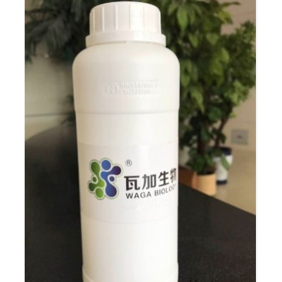 北京通用水性木器漆專用抗菌劑哪家強 鑄造輝煌 上海瓦加生物科技供應