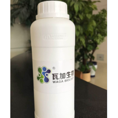 廣東專業(yè)粉末涂料抗菌劑制造廠家 創(chuàng)造輝煌 上海瓦加生物科技供應