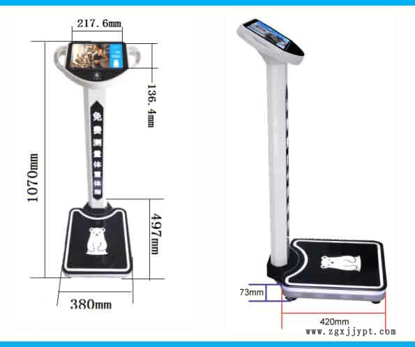 巨天共享電子秤掃碼體重秤公眾號(hào)吸粉神器免費(fèi)測(cè)量體脂秤示例圖6