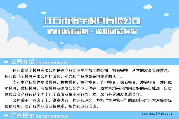 供應(yīng)鎢鋼合金模具、合金碳化鎢軸套， 耐磨密封圈及滑動(dòng)軸模具示例圖1