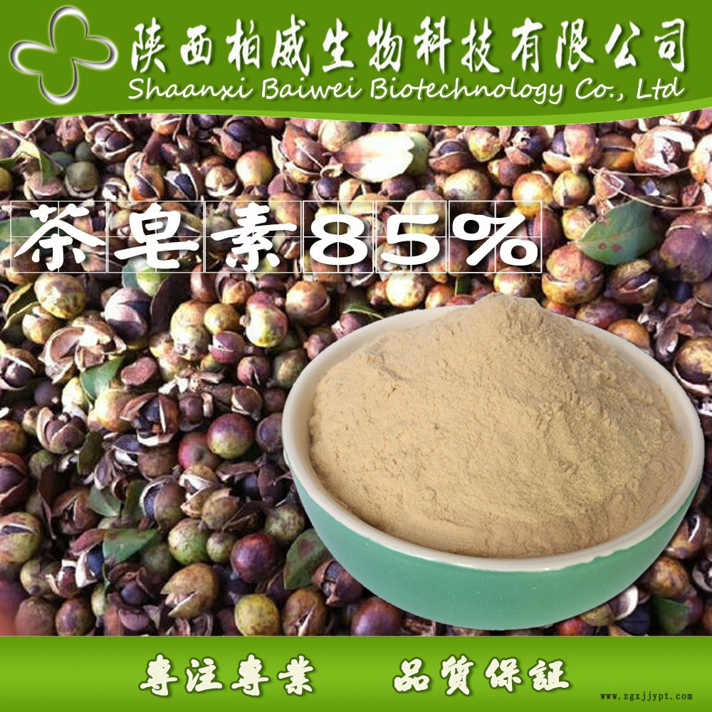 茶皂素 茶樹籽提取物 發(fā)泡劑 天然非離子表面活性劑 現(xiàn)貨批發(fā)價格示例圖3