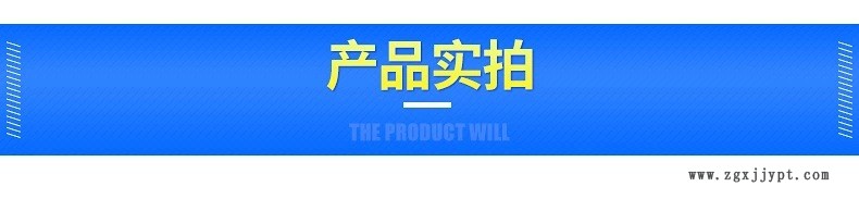 半自動雙頭液體灌裝機(jī) 洗衣液灌裝機(jī) 清洗劑定量分裝灌裝設(shè)備示例圖3